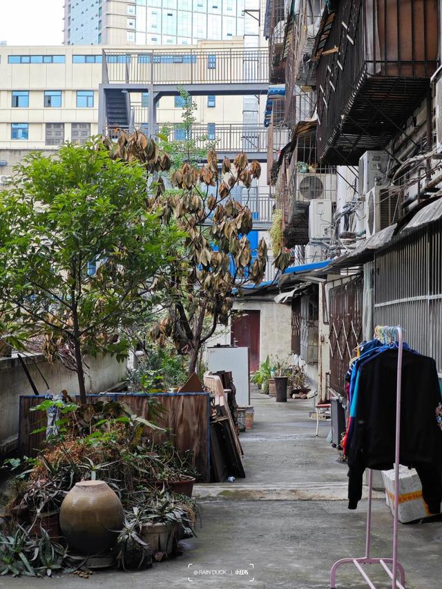 2024 房地产走势:新路崛起房地产作用是否将被取代?(图3) 2024 房地产走势:新路崛起房地产作用是否将被取代?(图3)