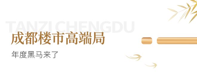 全国奢宅当打之年成都申请“出战”(图3)