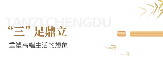 全国奢宅当打之年成都申请“出战”(图9)