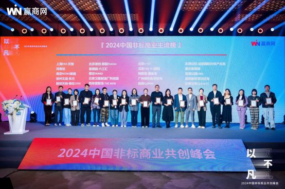 引领行业新浪潮2024中国非标商业共创峰会干货满满！(图10)