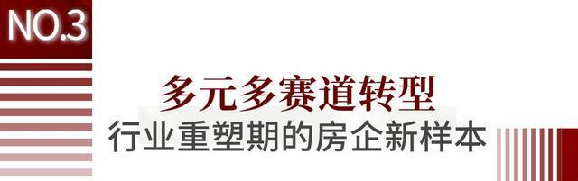 登顶2024保利再一次领先！(图9)
