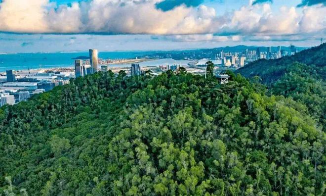 ฅ观山海家园ฅ 观山海家园官方售楼处发布：楼盘评测(图21)