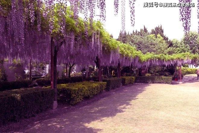®保利建发璟玥府 保利建发璟玥府官方售楼处发布: 高性价来袭!(图20) ®保利建发璟玥府 保利建发璟玥府官方售楼处发布: 高性价来袭!(图20)
